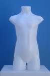 1523 torso bambino espositore