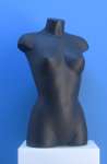 1529 busto donna precolorato