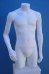 1568 torso uomo con braccia