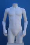 1587 uomo torso braccia