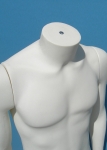 2390 torso con braccia uomo