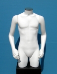 2392 uomo torso con braccia con tappo intimo