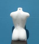 2634 busto da donna precolorato