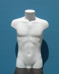 2647 busto precolorato uomo