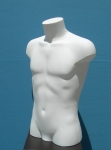 2648 uomo busto bianco