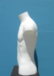 2649 precolorato busto uomo