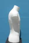 2652 busto uomo bianco