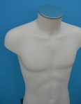 2951 torso uomo con tappo