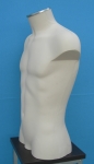 2952 torso uomo espositore