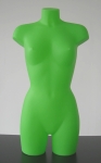3190 busto donna verde