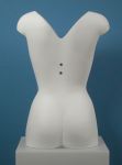 3477 tagliato collo foto campionario busto donna