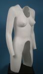 4079 effetto corpo invisibile donna torso con braccia