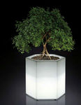 5002 elemento arredo minimale giardino interno esterno vaso esagonale luminoso